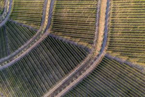 O Douro visto pela perspectiva de um drone